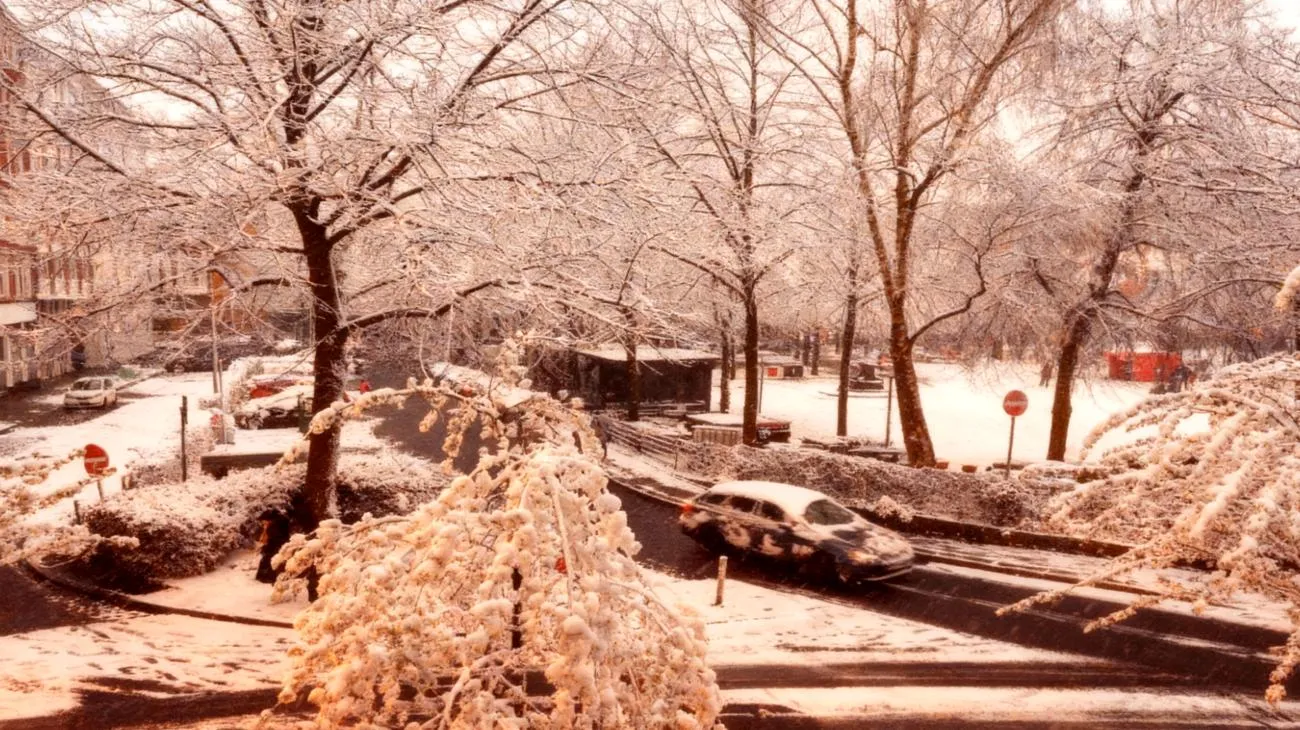 Warum googeln 10.000 Deutsche stündlich nach dem Wintereinbruch - und was die Meteorologen verschweigen 2025-11-07T11:32:16.806Z"